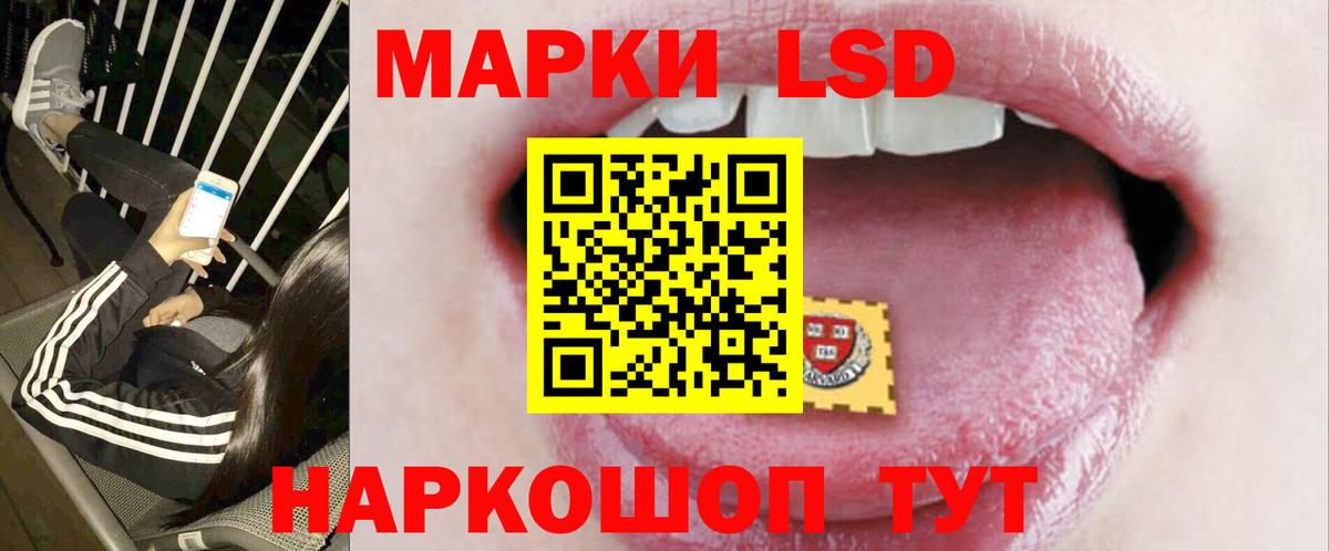 A-PVP Химки