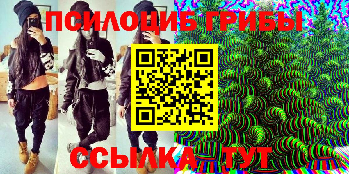 Псилоцибиновые грибы Cubensis Химки